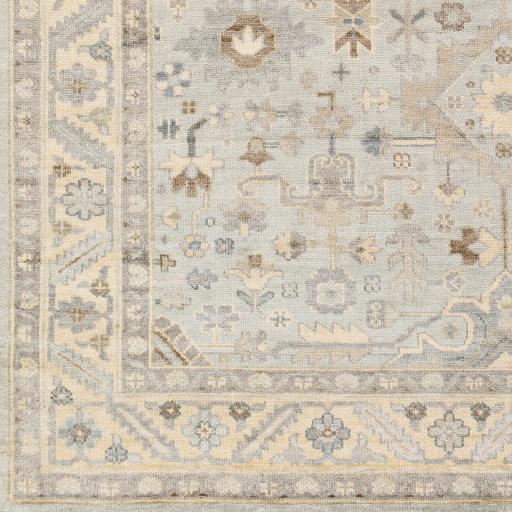 Surya Sabine SBN-1002 6' x 9' Rug