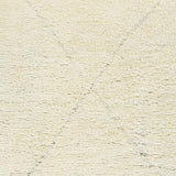 Surya Sahara SAH-2302 2' x 3' Rug