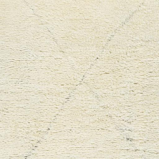 Surya Sahara SAH-2302 8' x 10' Rug