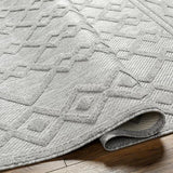 Surya San Diego SFG-2310 5'3" x 7' Rug