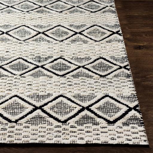Surya Santa Barbara SBB-2301 2' x 3' Rug