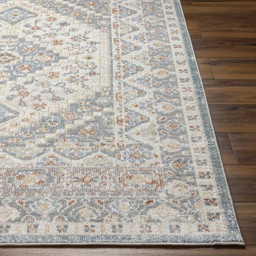 Surya Santana SNN-2302 Cream Gray 2'3" x 3'9" Rug