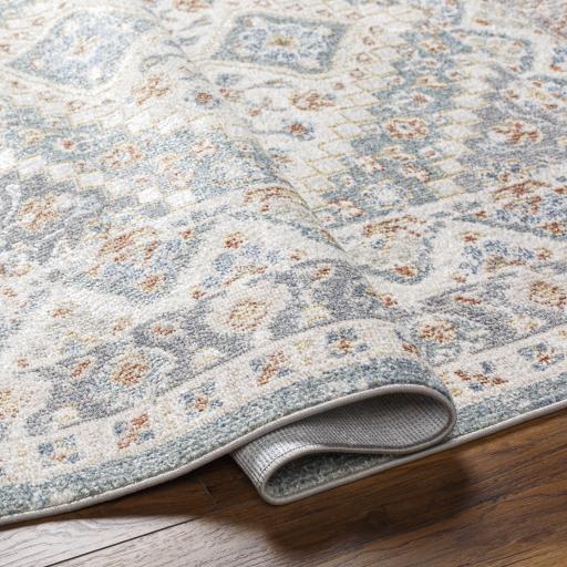 Surya Santana SNN-2302 2'3" x 3'9" Rug