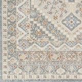 Surya Santana SNN-2302 2'3" x 3'9" Rug