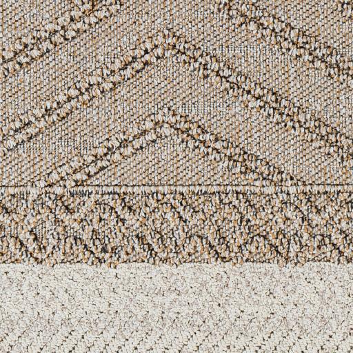 Surya Sarasota SSO-2300 2' x 3'9" Rug