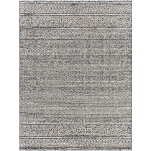 Surya Sarasota SSO-2304 2' x 3'9" Rug