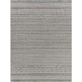 Surya Sarasota SSO-2304 2' x 3'9" Rug