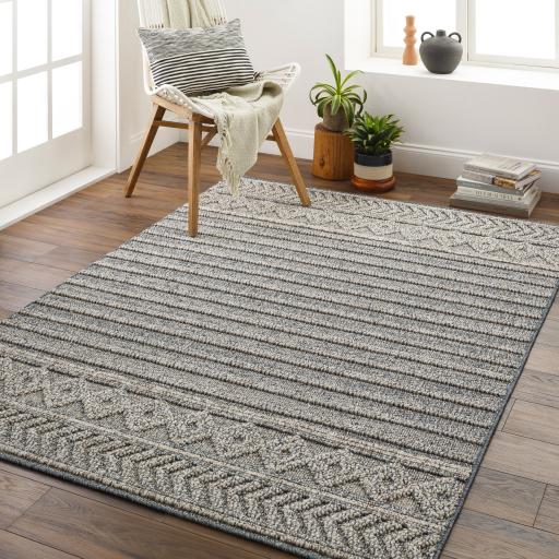 Surya Sarasota SSO-2304 2' x 3'9" Rug