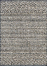 Surya Sarasota SSO-2304 2' x 3'9" Rug