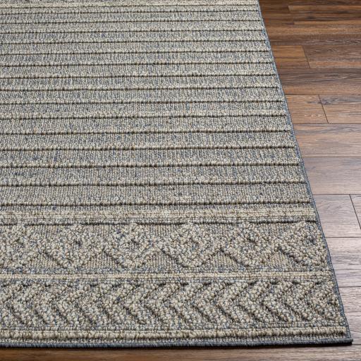 Surya Sarasota SSO-2304 2' x 3'9" Rug