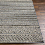 Surya Sarasota SSO-2304 2' x 3'9" Rug