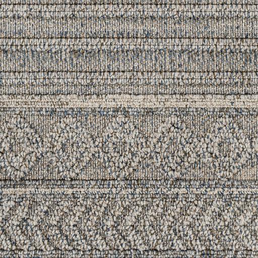 Surya Sarasota SSO-2304 2' x 3'9" Rug