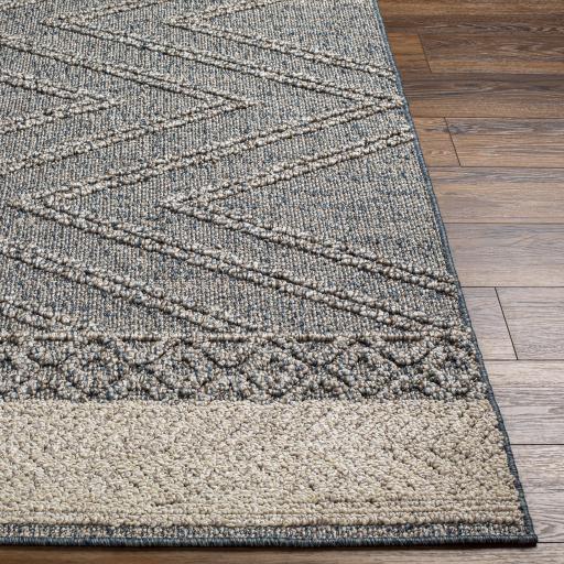 Surya Sarasota SSO-2305 2' x 3'9" Rug
