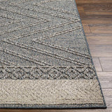 Surya Sarasota SSO-2305 2' x 3'9" Rug