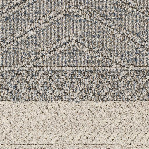 Surya Sarasota SSO-2305 2' x 3'9" Rug