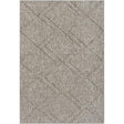 Surya Sarasota SSO-2307 2' x 3'9" Rug