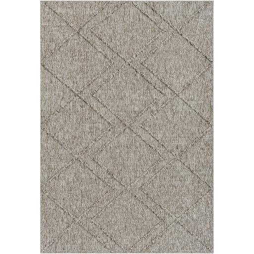 Surya Sarasota SSO-2307 2' x 3'9" Rug