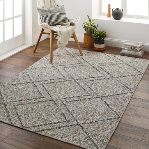 Surya Sarasota SSO-2307 2' x 3'9" Rug