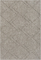 Surya Sarasota SSO-2307 2' x 3'9" Rug