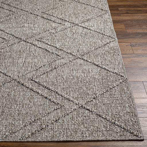 Surya Sarasota SSO-2307 Black Tan 2' x 3'9" Rug