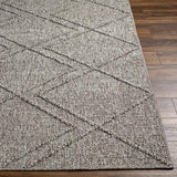 Surya Sarasota SSO-2307 Black Tan 2' x 3'9" Rug
