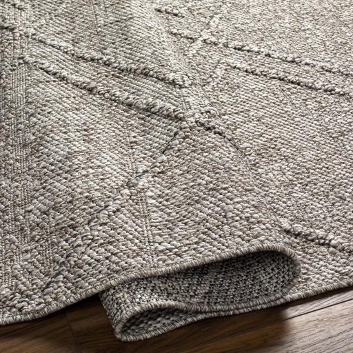 Surya Sarasota SSO-2307 2' x 3'9" Rug