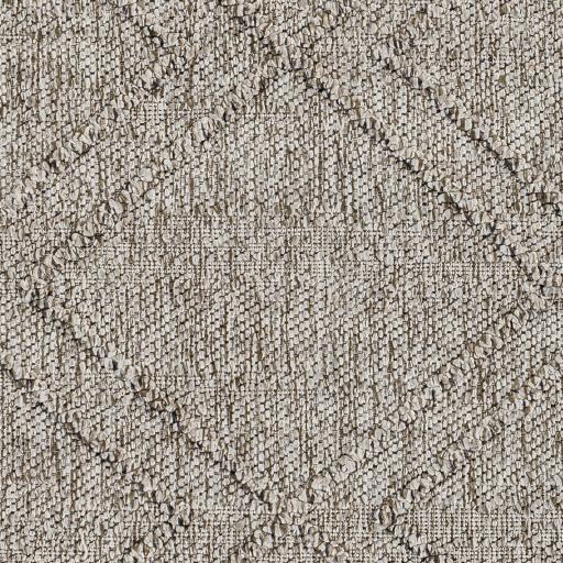 Surya Sarasota SSO-2307 2' x 3'9" Rug