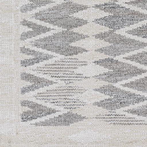 Surya Scandi SCD-2303 Beige Black 8' x 10' Rug