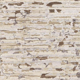 Surya Seda SSD-2301 10' x 14' Rug