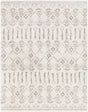 Livabliss Serengeti Shag SGT-2314 5'3" x 7'3" Machine Woven Rug