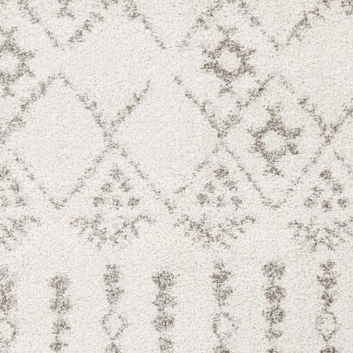 Surya Serengeti Shag SGT-2314 5'3" x 7'3" Rug