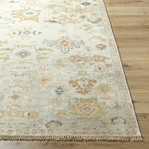 Surya Shiraz SHZ-2301 Charcoal Light Brown 9' x 12' Rug