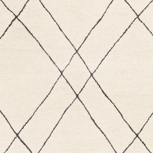 Surya Sinop SNP-2304 6' x 9' Rug