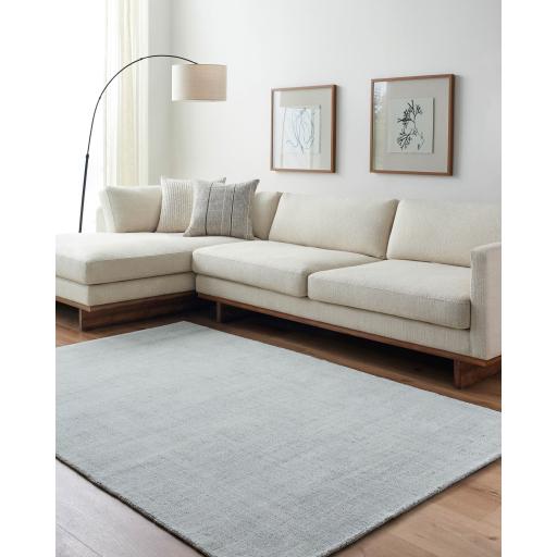 Surya Sochi SCA-2302 2' x 3' Rug