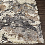 Surya Socrates SOC-2300 2' x 3' Rug