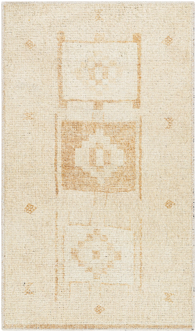 Surya Solana BOOC-2300 2'2" x 3'9" Rug
