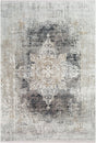 Surya Solar SOR-2305 1'11" x 2'11" Machine Woven Rug