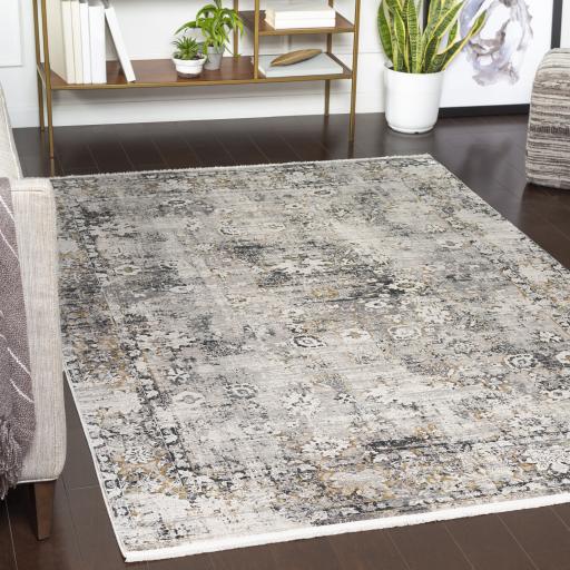 Surya Solar SOR-2308 6'7" x 9'6" Rug