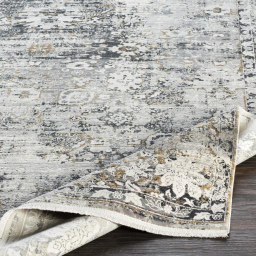 Surya Solar SOR-2308 6'7" x 9'6" Rug