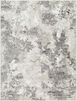 Livabliss Soldado SOD-2305 2' x 2'11" Machine Woven Rug