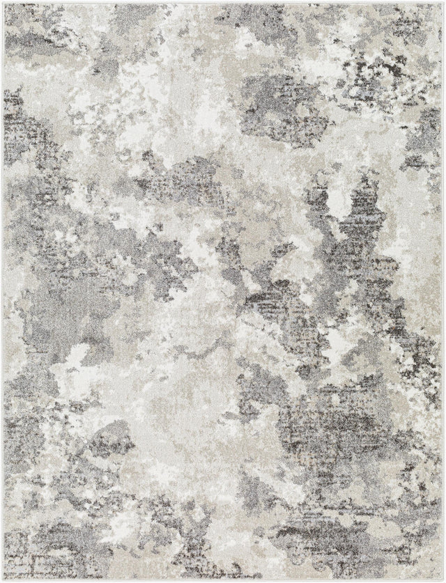 Livabliss Soldado SOD-2305 2' x 2'11" Machine Woven Rug