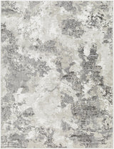 Surya Soldado SOD-2305 2' x 2'11" Rug