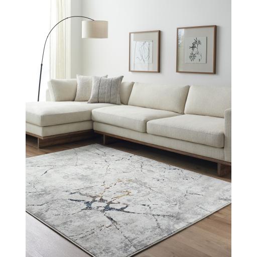 Surya Soldado SOD-2306 2' x 2'11" Rug