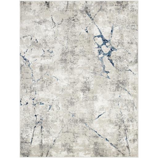 Surya Soldado SOD-2307 2' x 2'11" Rug