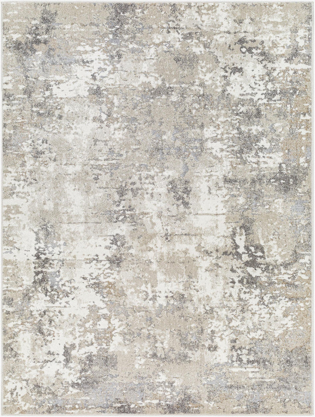 Livabliss Soldado SOD-2310 5'3" x 7' Machine Woven Rug