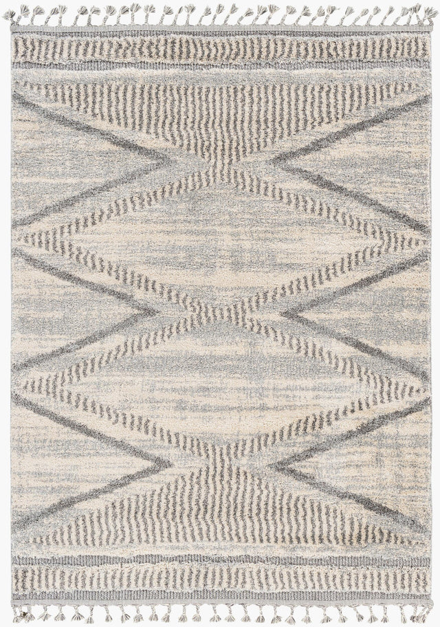 Livabliss Sousse SUS-2300 9'6" x 12' Machine Woven Rug
