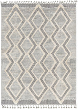 Surya Sousse SUS-2301 Charcoal Gray 6'10" x 9' Rug