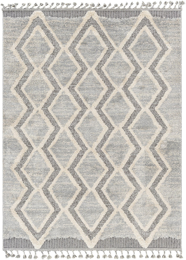 Surya Sousse SUS-2301 Charcoal Gray 6'10" x 9' Rug