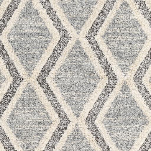 Surya Sousse SUS-2301 Charcoal Gray 6'10" x 9' Rug