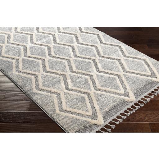 Surya Sousse SUS-2301 Charcoal Gray 6'10" x 9' Rug